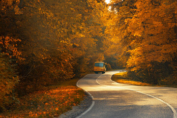 Road with school bus in beautiful autumn forest at sunset.