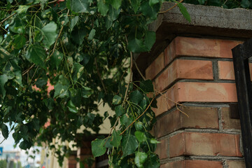 Red brick and brick edge from pillar in front of wall as texture background