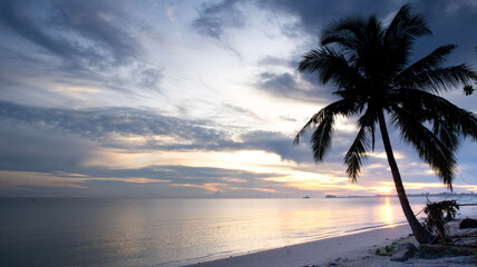 Coconut trees on the coast of Belitung Indonesia at sunrise