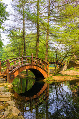 wooden bridge over the lake