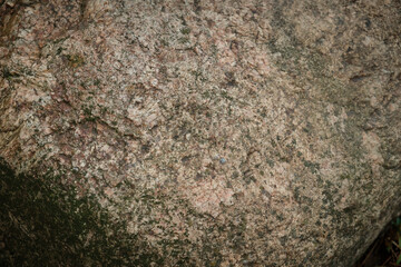 A large stone covered with moss lies on the green grass. Close-up. Sunlight on the right.