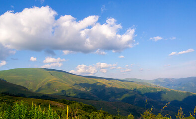 Majestic Mountain Symphony: Peaks, Valleys, and Enchanting Forests