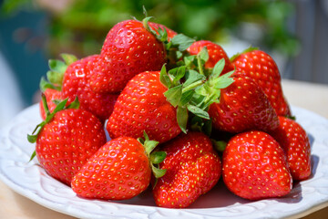 New harvest, plate of ripe red sweet strawberry ready to eat close up
