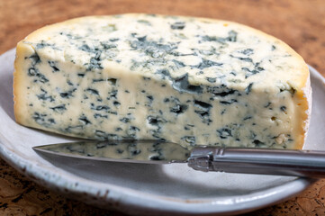 Cheese collection, piece of French blue cheese auvergne or fourme d'ambert close up