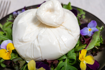 Fresh handmade soft Italian cheese from Puglia, white ball of burrata foglia saporosa or burratina cheese made from mozzarella and cream filling served with green rocket salad witn viola flowers