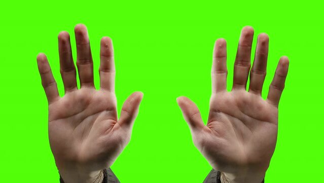 Raising Palm Hands Green Screen Male Body Part. Male palm hands raising on a green screen background