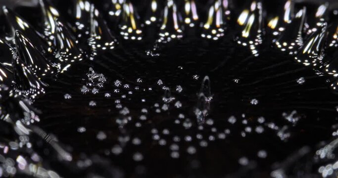 Magnetic fluid. Ferrofluid. Black liquid surface. Abstract background.