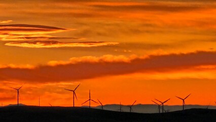 Naklejka premium sunset over the field