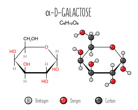 Alpha galactose skeletal and flat representation. Skeletal formula and 2d structure illustration. Web style illustration. Vector editable