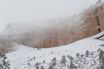 Snow in winter at  Zion National Park, Utah