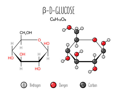 Beta glucose skeletal and flat representation. Skeletal formula and 2d structure illustration. Web style illustration. Vector editable