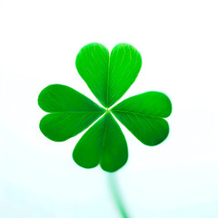 four leaf clover, photography, top angle, 3D, white background 06