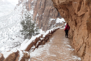 Hiker on the West Rim Trail with snow in winter at  Zion National Park, Utah