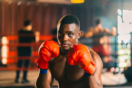 Young muscular african american male boxer looking at camera, wearing boxing gloves, standing isolated over grey background. Sports, workout and bodybuilding concept, confident african american boxer