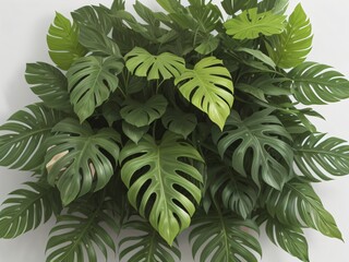 Picture illustrating a collection of tropical green plants such as Monstera, fern, and Eucalyptus leaves, highlighted with gold glitter particles. Created with generative AI tools