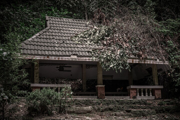 An old abandoned building in the jungle. Dark place. Scary abandoned building.