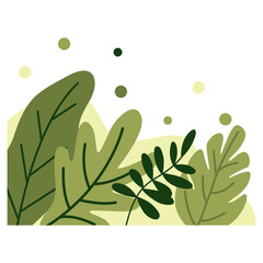 Aesthetic Plant Corner