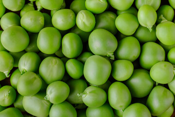 Green Pea. Green background. Peas background. Top view. Closeup. Macro shot of fresh pea.