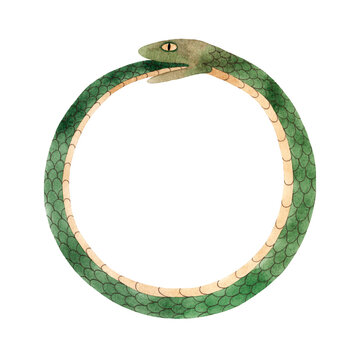 Watercolor illustration of circle Ouroboros esoteric symbol. Hand-painted snake eating tail isolated on transparent background