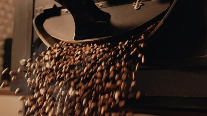 Barista opens roasting machine. Freshly roasted coffee beans fall out of roasting machine. Industrial roasting and production, coffee industry. Close-up shot