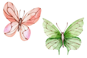 Delicate butterflies watercolor illustration. Pink butterfly. Green butterfly. Insects. Summer meadow. Watercolor art. Illustrations isolated. For printing on stationery, cards, stickers, fabrics.