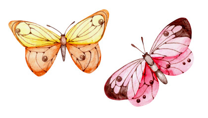 Summer butterflies watercolor illustration. Yellow, orange butterfly. Pink butterfly. Insects. Summer meadow. Watercolor art. Illustrations isolated. For printing on stationery, cards, stickers