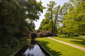 Happy wanderlust in Borgvold park in Viborg. Borgvold at Nørresø is located in a place where there was a place of violence in the High Middle Ages,Viborg,Denmark