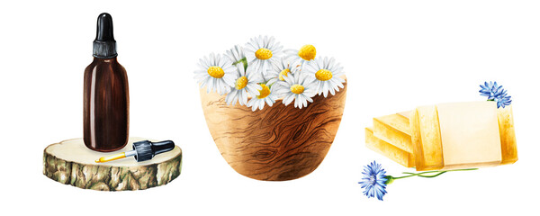 Watercolor bottle of serum with pipette on a wooden saw cut, wooden mortar with chamomile and soap isolated on white background. Beauty products and botany elements, cosmetology and medicine. For d