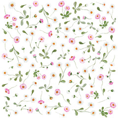 Daisy - Gänseblümchen, Aquarell Illustration watercolor Clipart Blume Hochzeit Flower handmadecards kartengestaltung Muster pattern