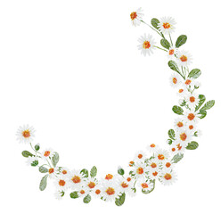 Daisy - Gänseblümchen, Aquarell Illustration watercolor Clipart Blume Hochzeit Flower handmadecards kartengestaltung Muster pattern