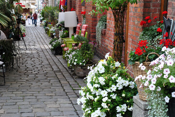 zdjęcie kamiennej ulicy udekorowanej kolorowymi kwiatami - obrazy, fototapety, plakaty