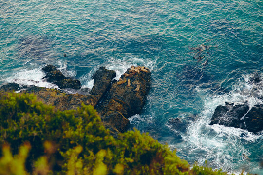 TOP view ocean line with rock and sea calves. Widescreen wallpapers. Blue ocean
