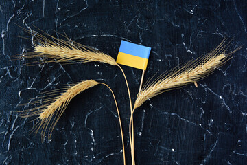 Ukrainian flag grain wheat and spikelets on dark background. Ukraine Russia conflict, Grain deal and problem of blockade of ports, grain corridor