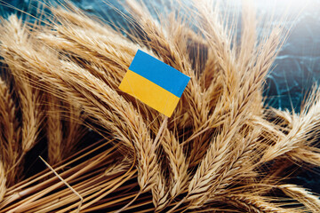 Ukrainian flag grain wheat and spikelets on dark background. Ukraine Russia conflict, Grain deal...