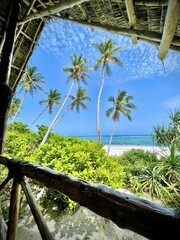 Zanzibar beach - obrazy, fototapety, plakaty