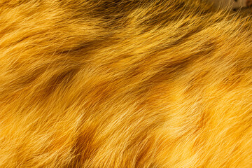 Yellow cat fur with dark spots textured for backgrounds. Shaggy fur texture cloth abstract, furry...