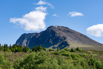 Fototapeta na wymiar Ben Nevis Rocky Summit Seen from Scottish Forestland in Scotland United Kingdom
