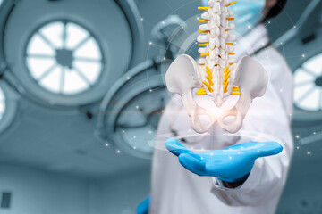 The concept of surgical treatment of the spine .
