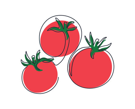 Tomatoes in continuous drawing style. Abstract minimalistic style. One line drawing fresh vegetables. Tomato outline with color. Drawing with single line. Doodle for logo or poster. Line art.