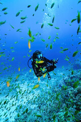 Woman diver taking pictures with corals on background in Egypt