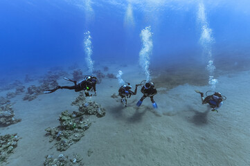 Divers in the Red sea in Dahab. Scuba diving in Egypt