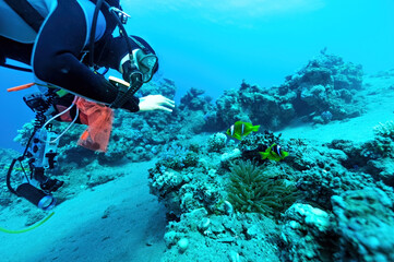 Woman diver exploring corals on background in Egypt