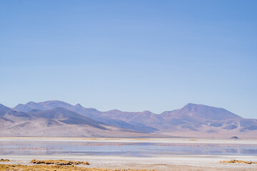 Vista al salar del Huasco en la comuna de Pica, región de Tarapacá, Chile