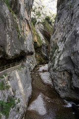 Fototapeta na wymiar Cares river canyon in the Picos de Europa (European peaks) National Park in Valdeon valley, Leon province, Spain.