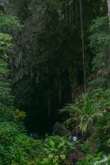 Cueva del guacharo, seen from outside and from inside. Caripe, Monagas, State, Guacharos cave with spectacular stalagmites and stalactites of various shapes. Daylight entering a hole in the top.Cave 