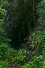 Cueva del guacharo, seen from outside and from inside. Caripe, Monagas, State, Guacharos cave with spectacular stalagmites and stalactites of various shapes. Daylight entering a hole in the top.Cave 