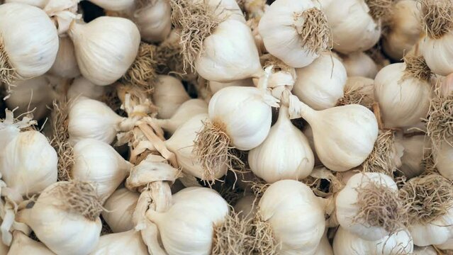 close up pf garlic on white background,