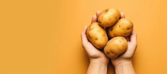 Foto op Plexiglas Vegetables in hands on a yellow background with space for text. Four large potatoes in female hands. Design for poster, cover of farmer's fair, grocery store. AI Generated © Helen-HD