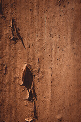 brown colour painted background texture, cracked rusty abstract grunge background. Old painted wall. Dirty rough scratched surface. Vintage background with space for design.