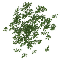 Aerial view of Tropical Rain Forest Ground Flora 3D Illustration, Image 16 of a series